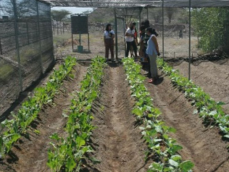 RODE Acción comunitaria contra la desnutrición infantil causada por la sequía, Kokuselei, Riokomor (Kenia)