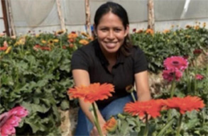 Fundación Rode - GENERACIÓN, OPORTUNIDADES, EMPLEO, EMPRENDIMIENTO Y COMERCIALIZACIÓN PARA MUJERES INDÍGENAS Fundación Rode - GENERACIÓN, OPORTUNIDADES, EMPLEO, EMPRENDIMIENTO Y COMERCIALIZACIÓN PARA MUJERES INDÍGENAS