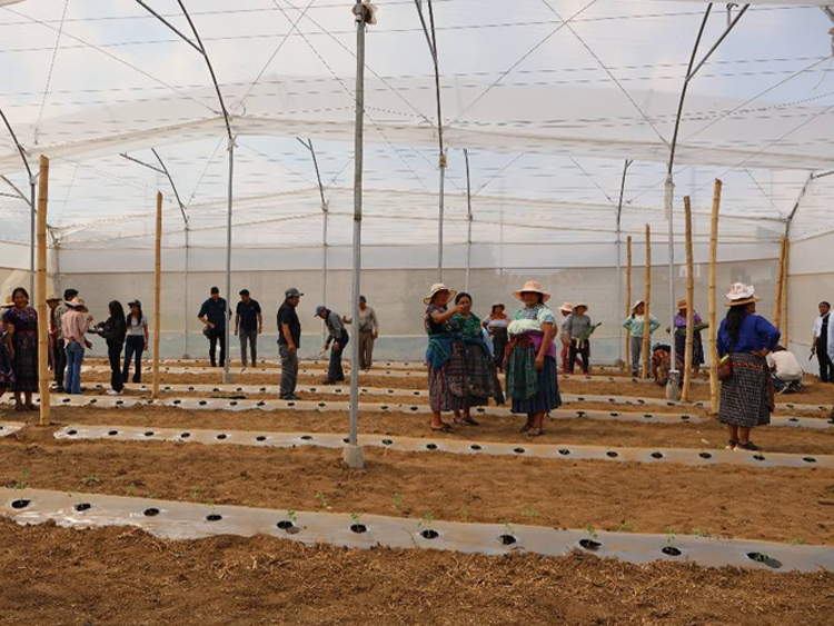 FUNDACIÓN RODE - IMPLEMENTACION DE L ENERGIA SOLAR EN LA AGRICULTURA DE PEQUEÑA ESCALA EN TECPAN, CHIMALTENANGO, GUATEMALA