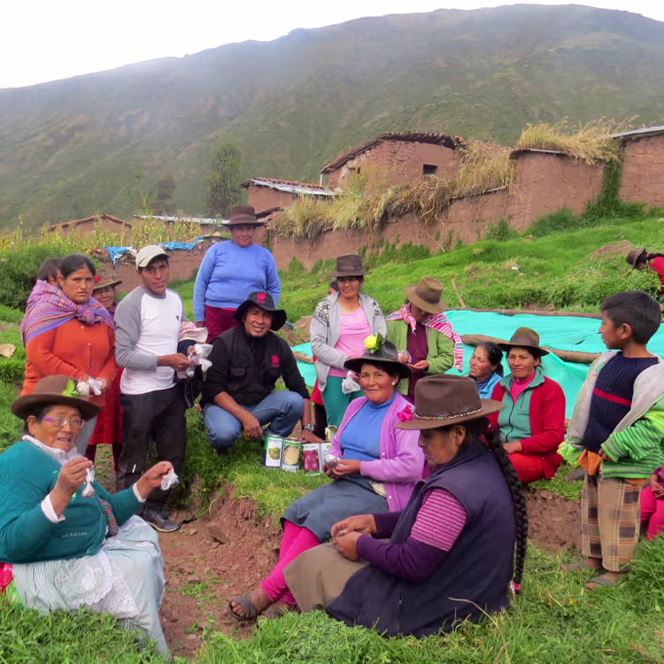 Fundación Rode - Conecta, ayuda y aprende: Voluntariado en Cáritas Abancay - Perú
